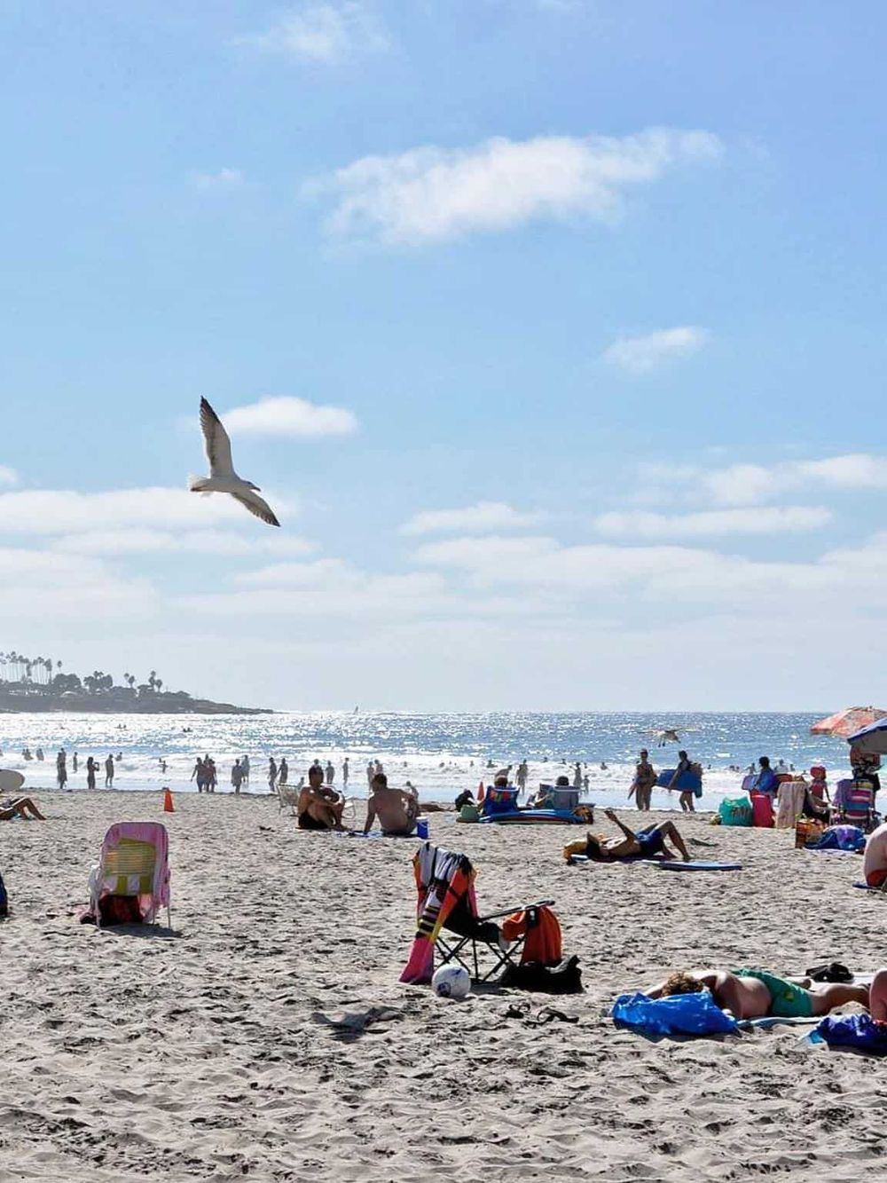 Seagull flying over crowded beach with sunbathers and ocean waves, sunny summer day, Southern California coastline.