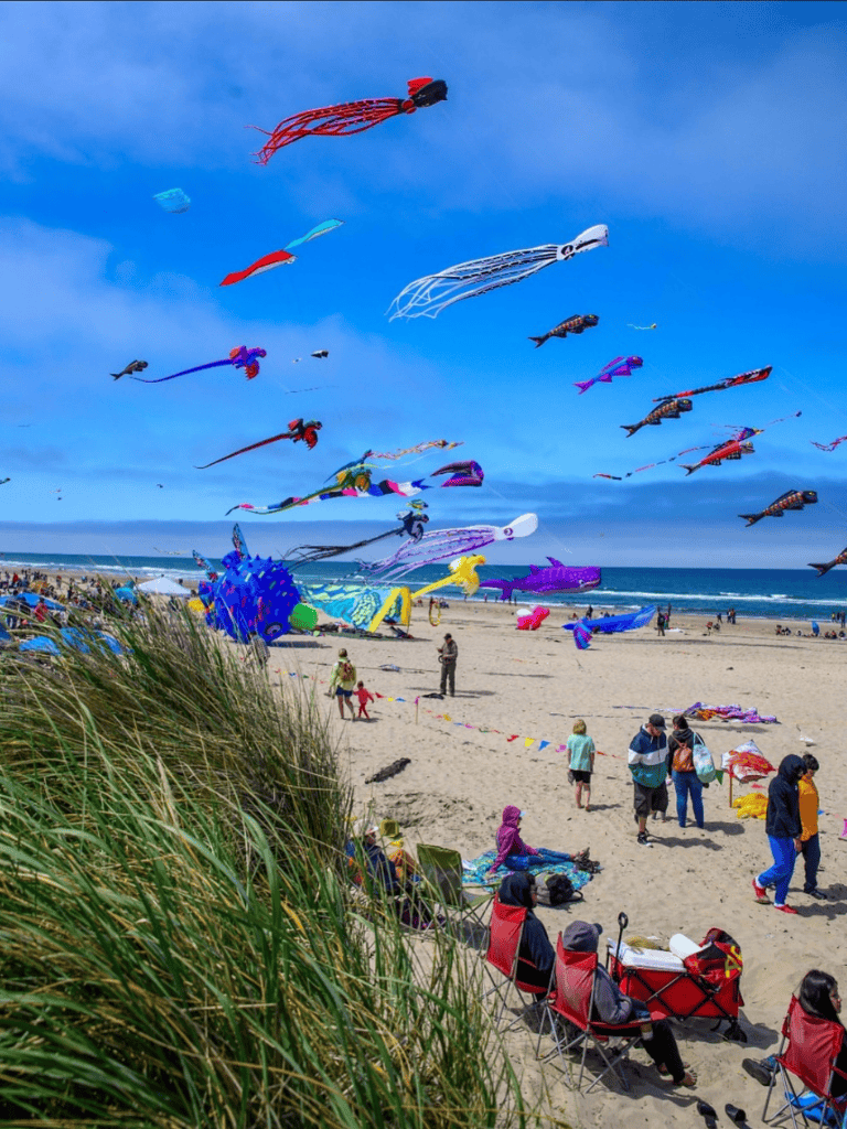 Colorful kites flying over a busy beach scene with people enjoying the seaside and kite flying activities.