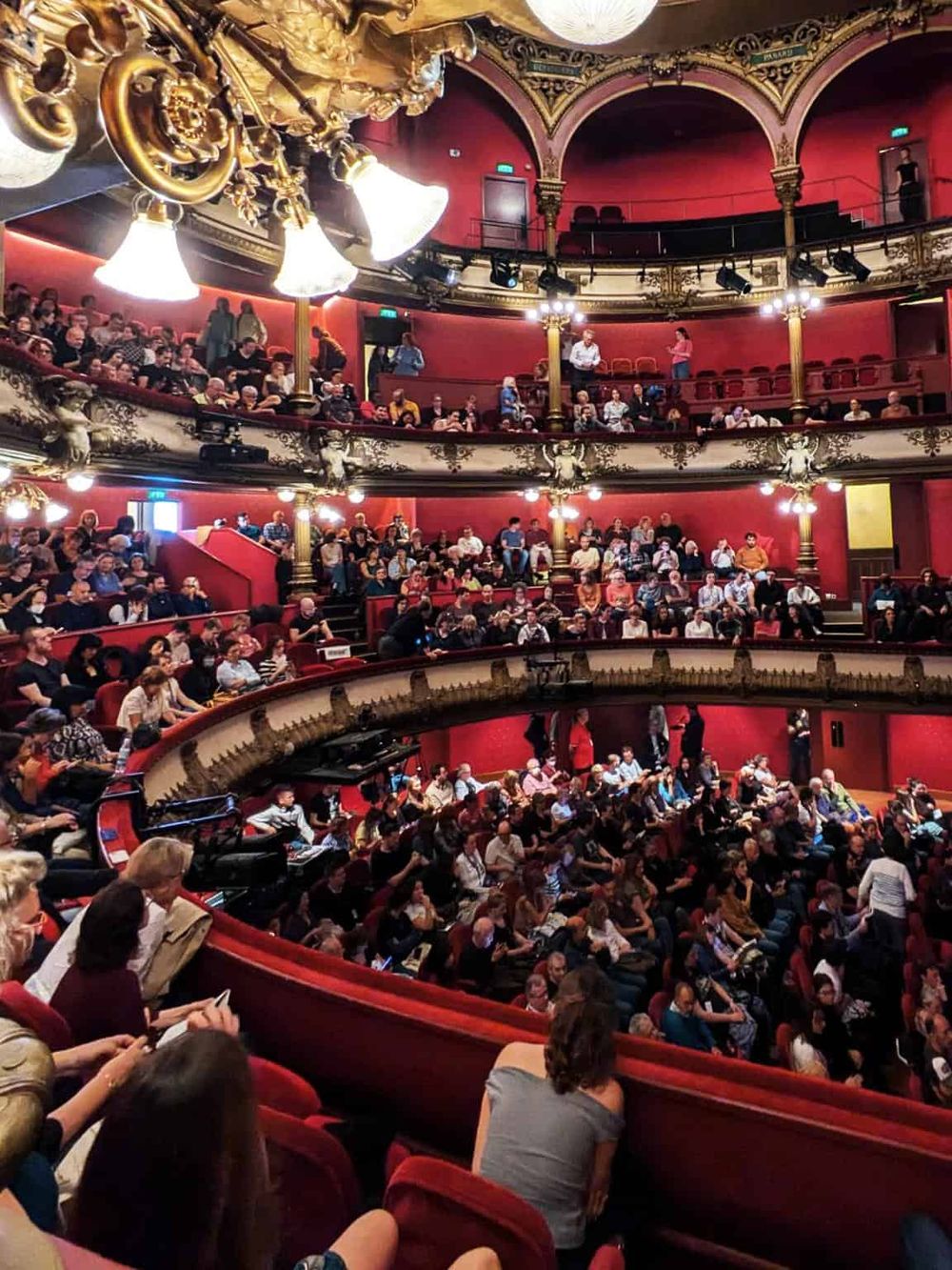 Spectacular theater interior with red velvet seats and ornate gold detailing, hosting a live performance or event.
