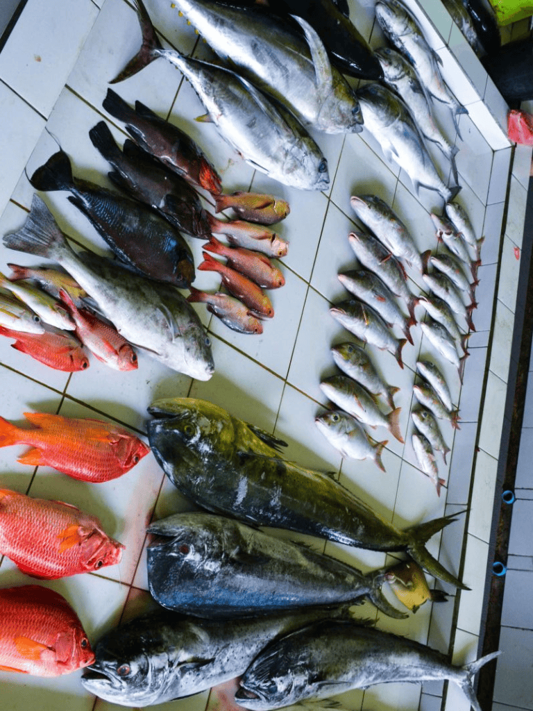 Brightly colored fresh catch of fish displayed on tiled surface for fishing trip or market sale.