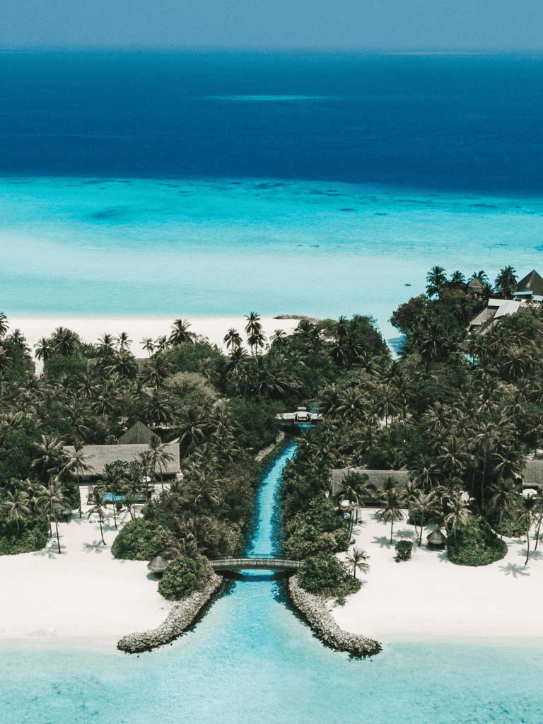 Tropical beach resort with lush palm trees, clear turquoise water, and luxurious accommodations.