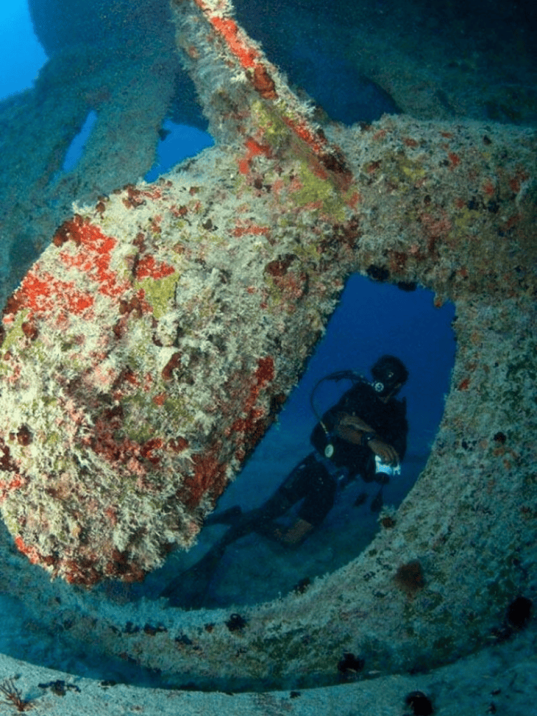 Underwater diver exploring shipwreck wreckage in vibrant coral reef environment.