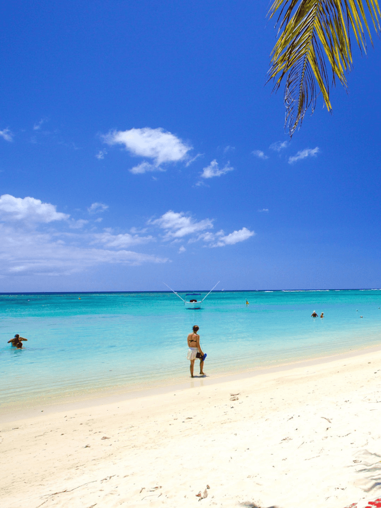 Turquoise beach with clear water, sunny sky, and palm tree in tropical vacation destination.