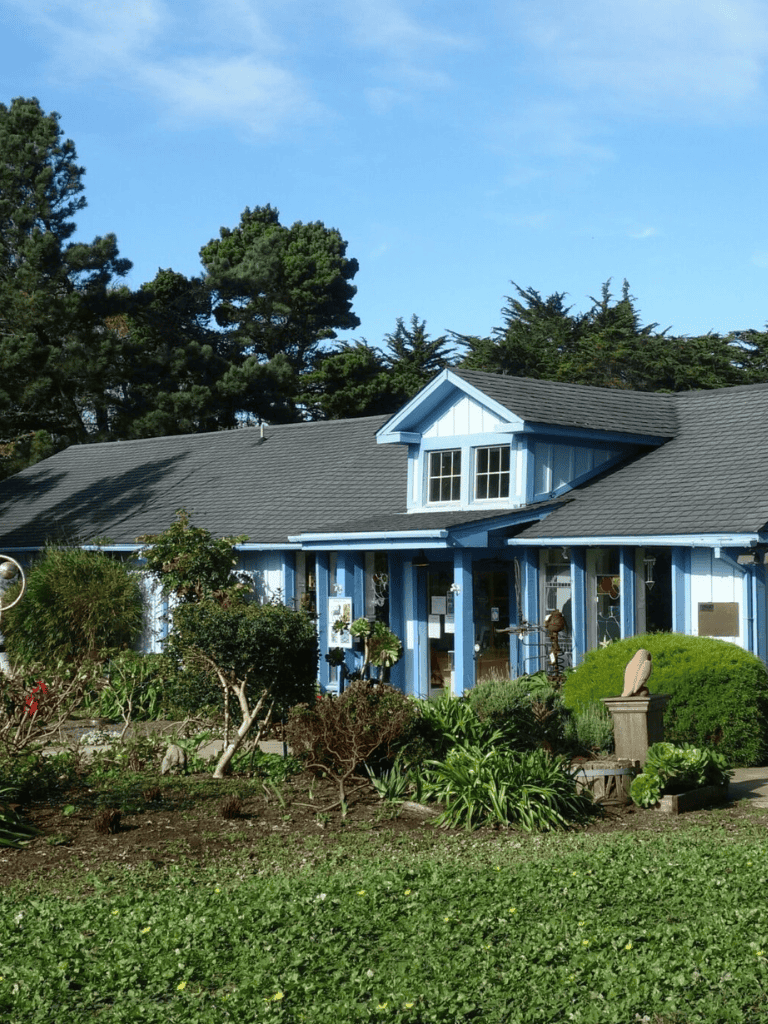 Colorful blue house with lush garden and mature trees under clear blue sky.