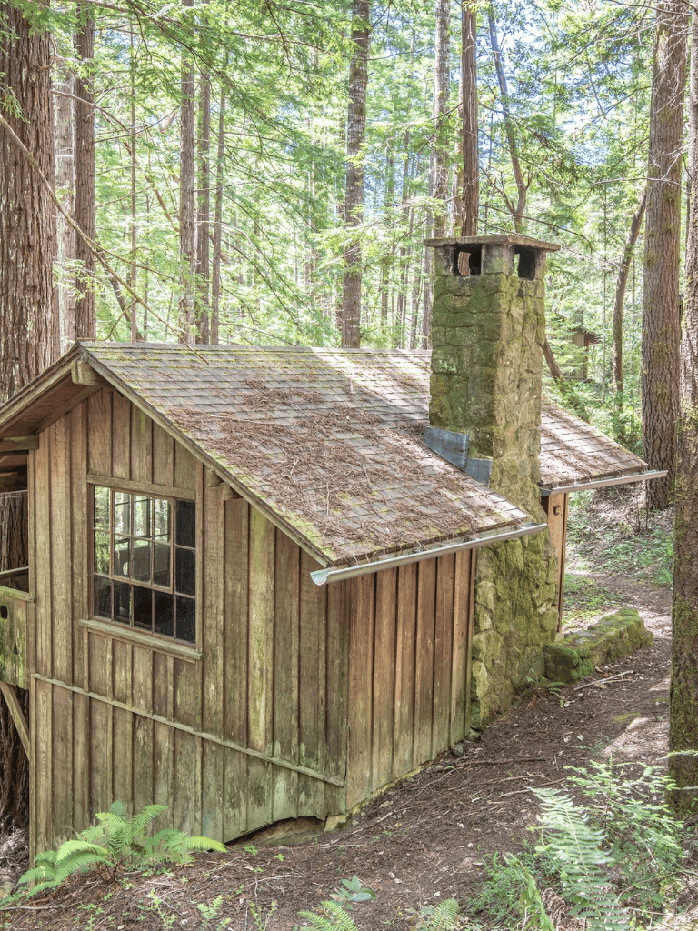 Rustic woodland cabin with moss-covered chimney and aged wooden exterior in a lush forest setting.
