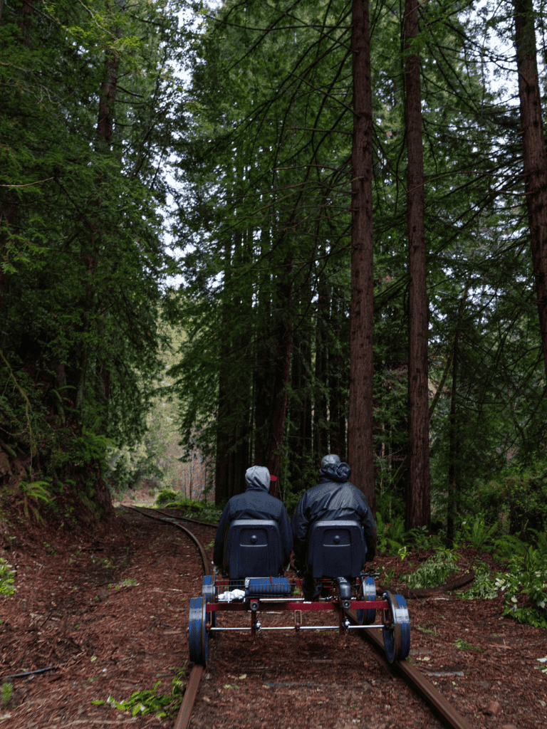 - Forest trail with two people riding an outdoor rail bike through tall trees in a lush green forest.