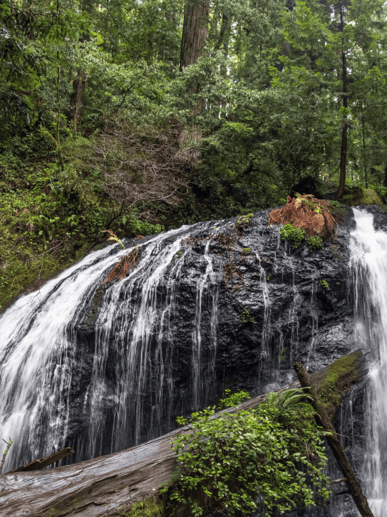 Serene forest waterfall in lush greenery, scenic nature backdrop, peaceful outdoor scene, perfect for nature lovers and outdoor adventures.