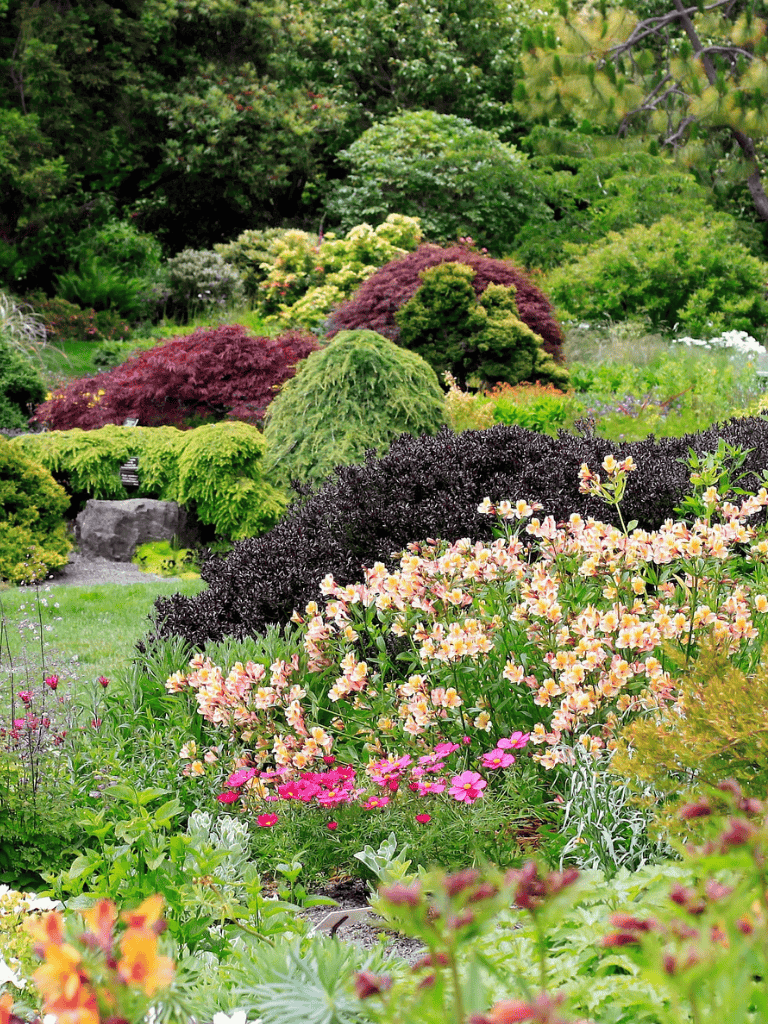 Vibrant garden landscape with lush greenery and colorful flowering plants, perfect for outdoor serenity and garden design inspiration.