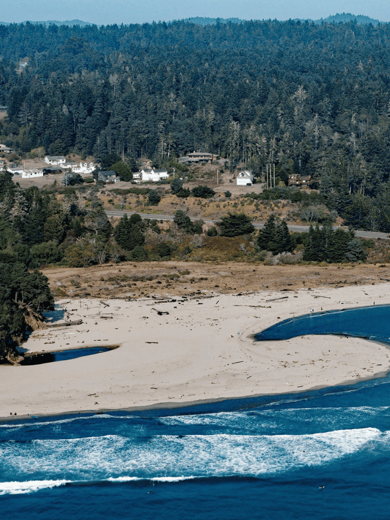 Serene coastal landscape with sandy beach, ocean waves, and lush forested hillside homes.