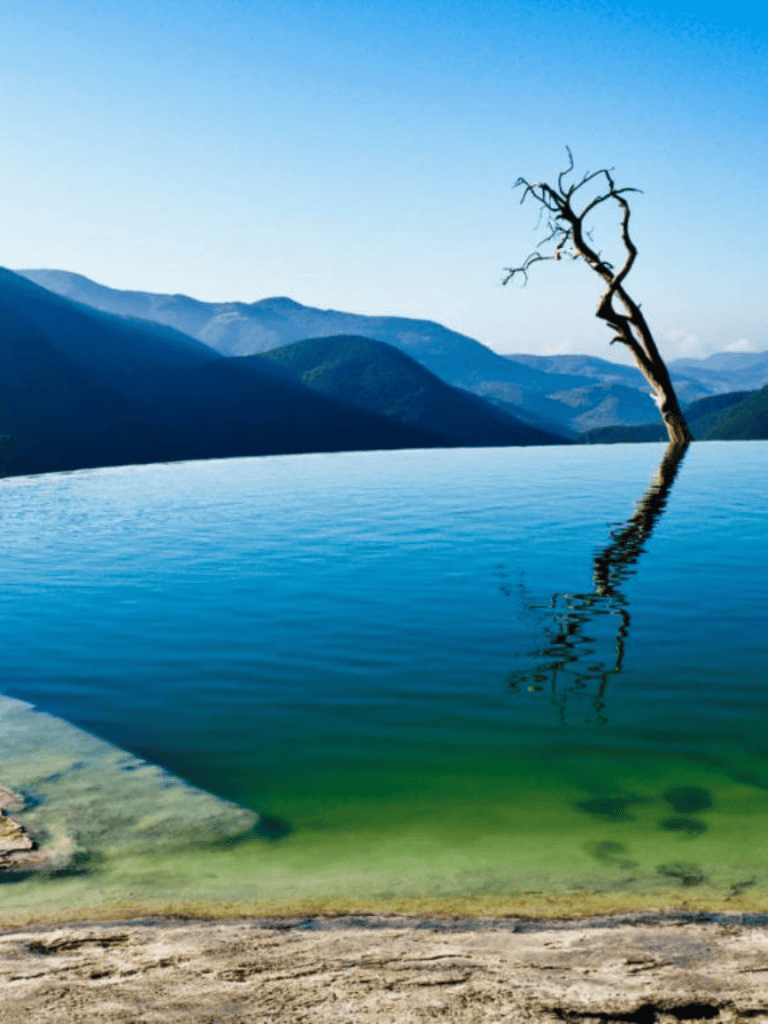 Serene mountain lake with a solitary, leafless tree reflecting in calm waters. Peaceful nature scene with mountains in the background.