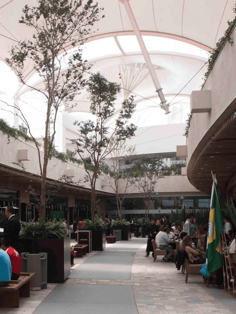 Modern indoor shopping mall with trees, seating, and a glass canopy ceiling.