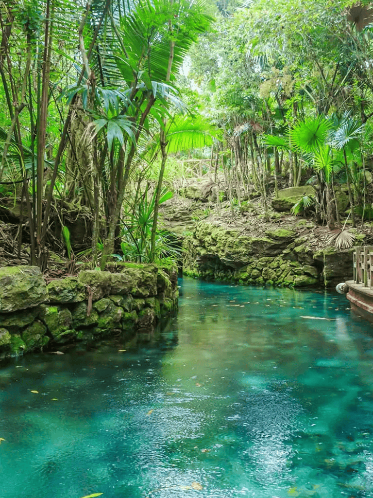 Vibrant tropical jungle with turquoise river in lush green landscape.