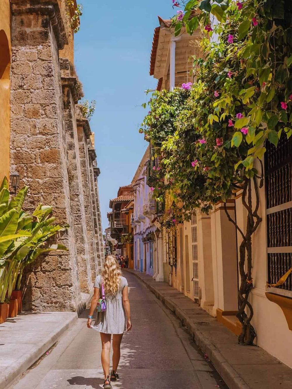 Colorful street in a historic town with vibrant flowers and charming architecture, perfect for travel and exploration.