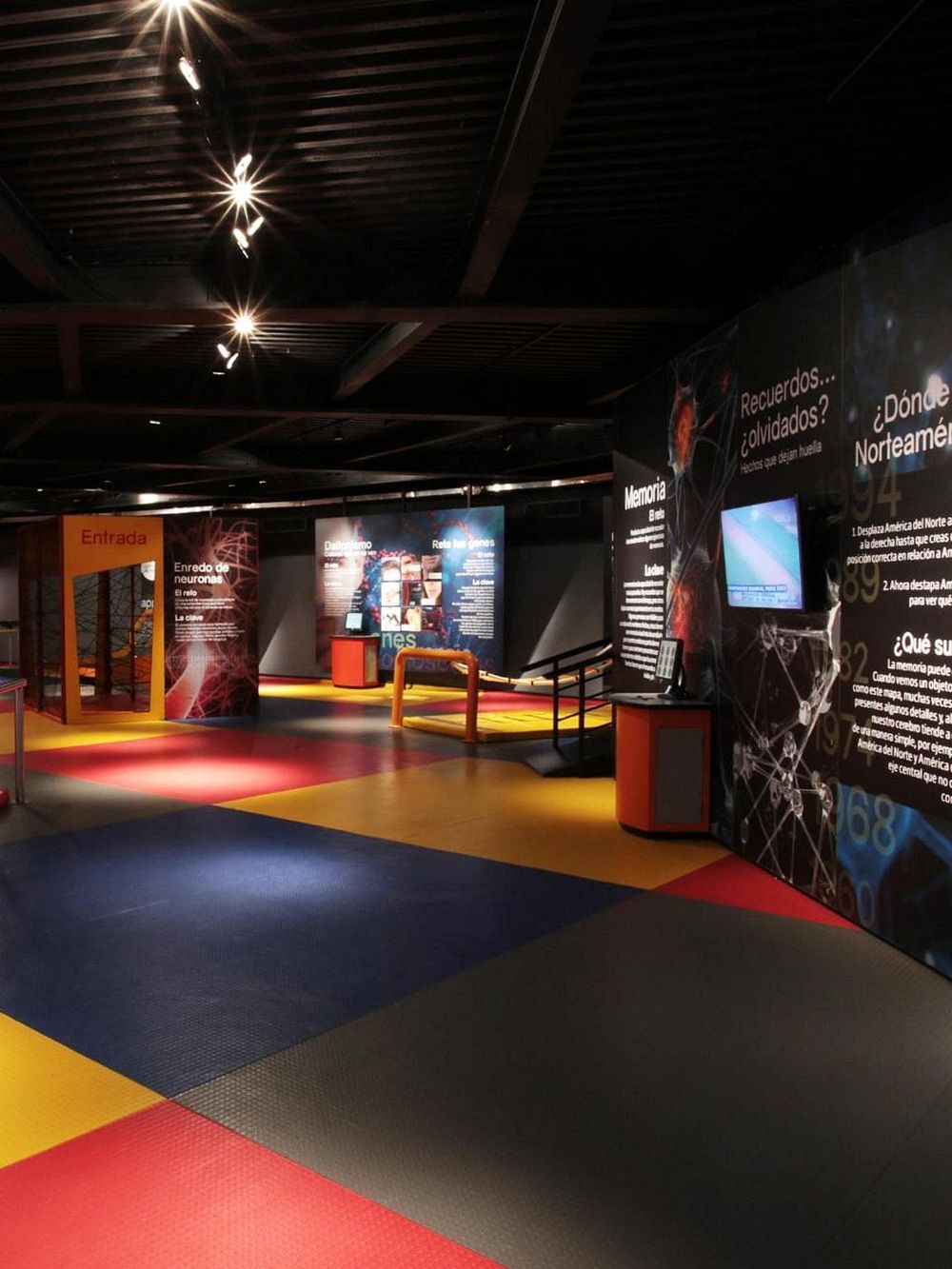 Interactive neuroscience exhibit in a museum or science center.