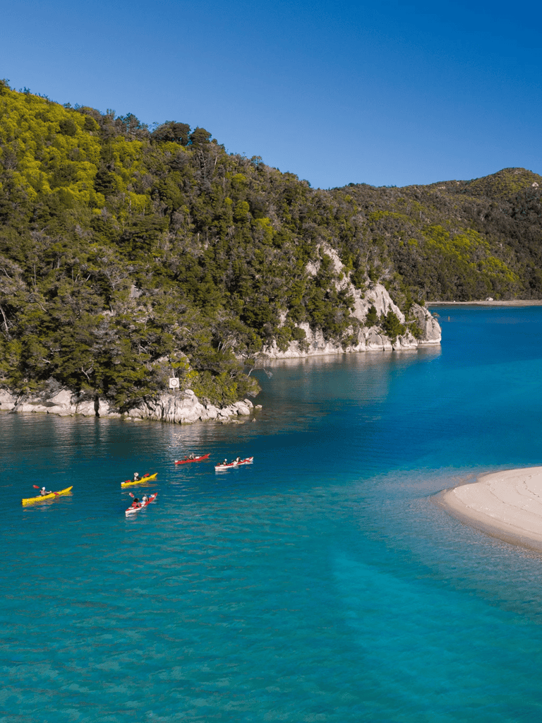 Kayakers enjoying turquoise waters near lush green hillside on a sunny day.