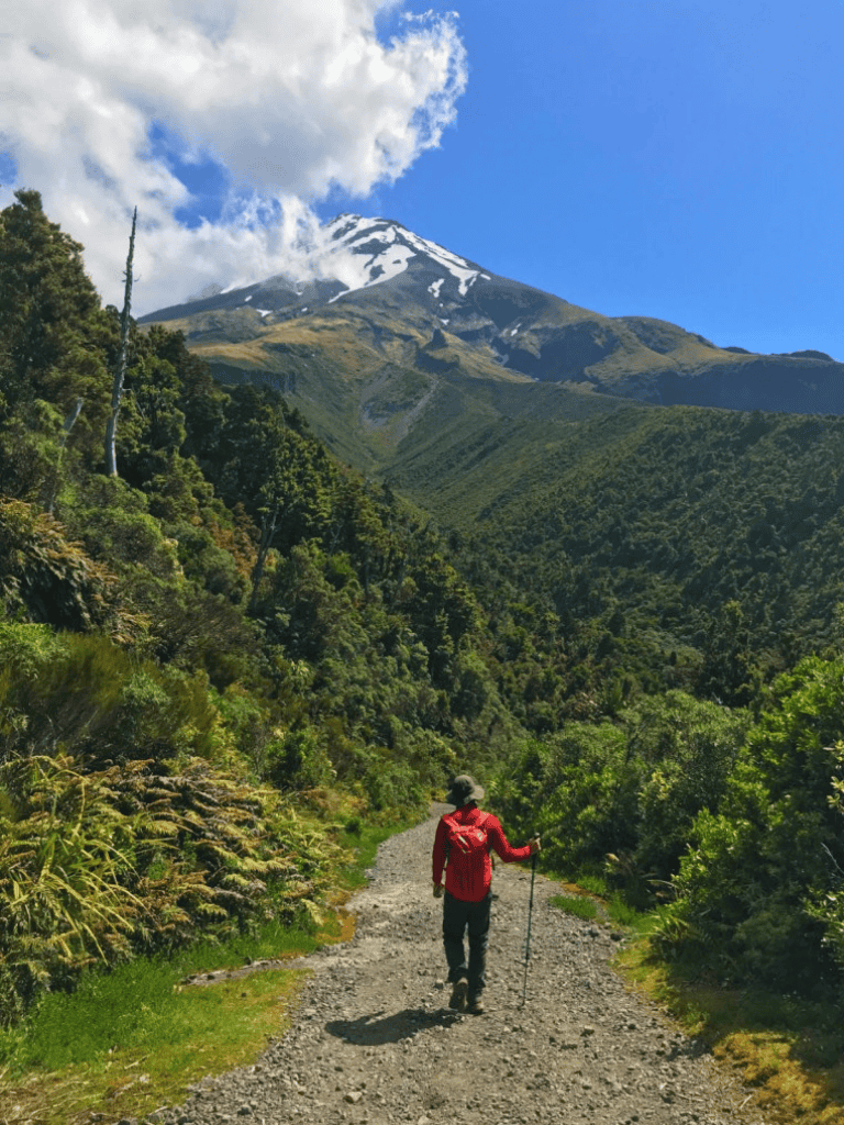 Majestic mountain trail with hiker and snow-capped volcano, scenic outdoor adventure.