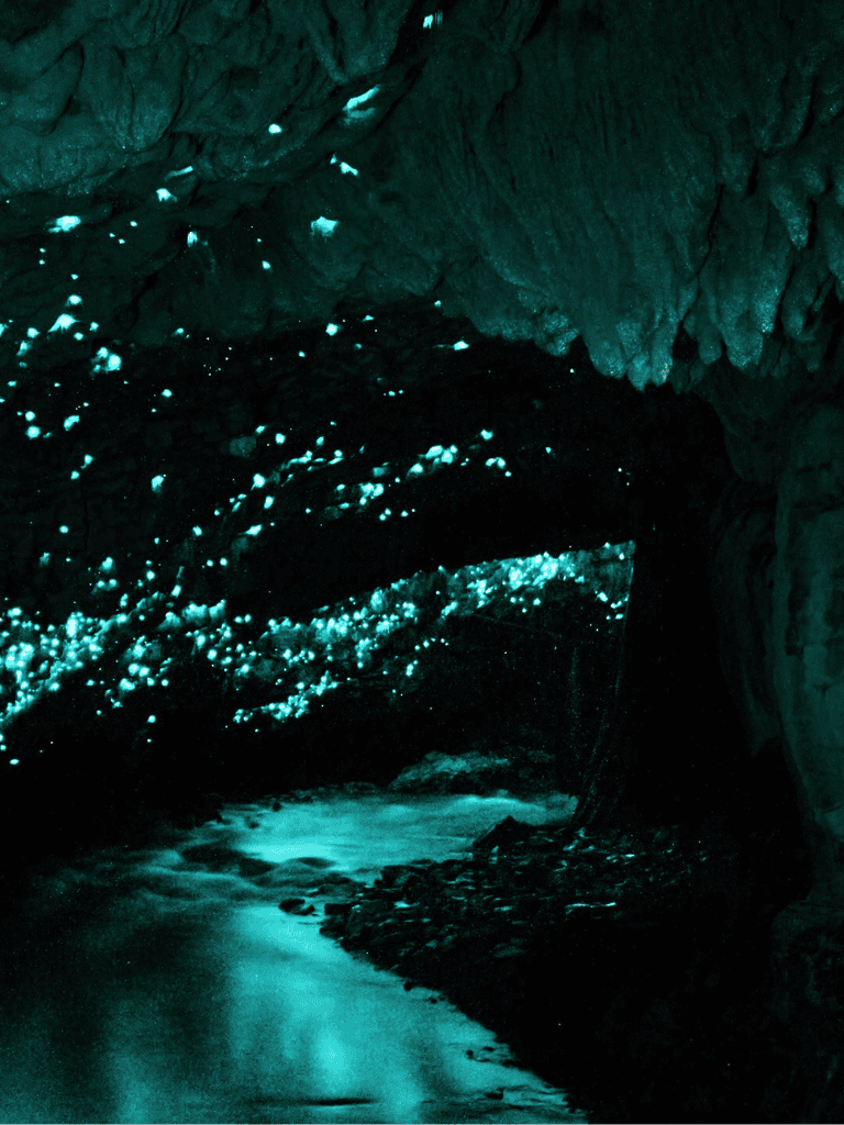 Bioluminescent cave with glowing water and rock formations, popular for guided adventure tours.