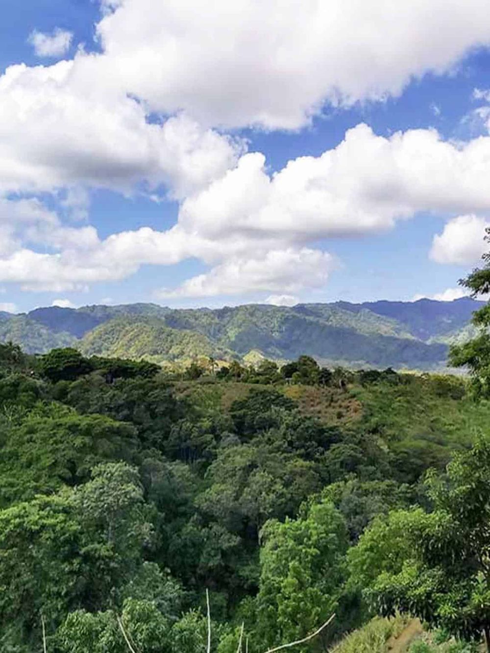 Vast green mountain landscape with lush trees and cloudy sky, scenic outdoor nature view.