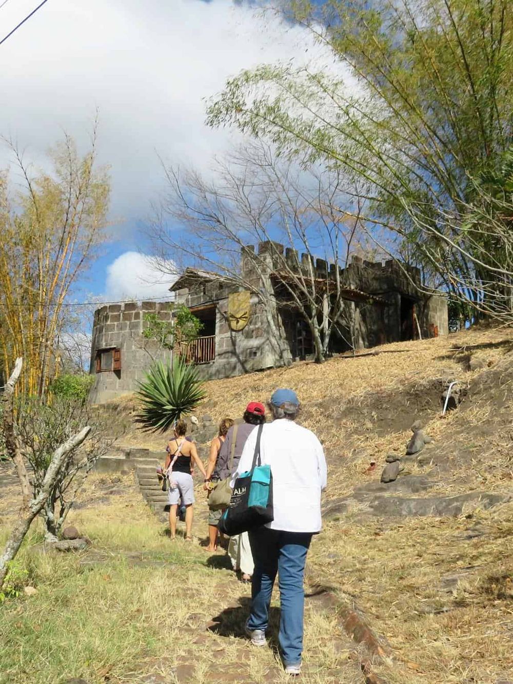 Ancient castle ruins on a hill with visitors hiking up, surrounded by trees and clear sky.
