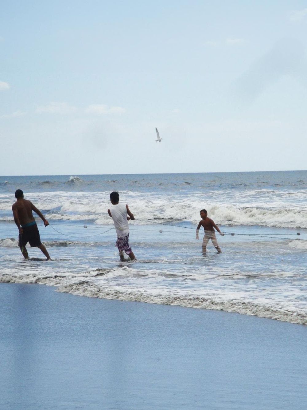 Children playing with a fishing net at the beach on a sunny day.