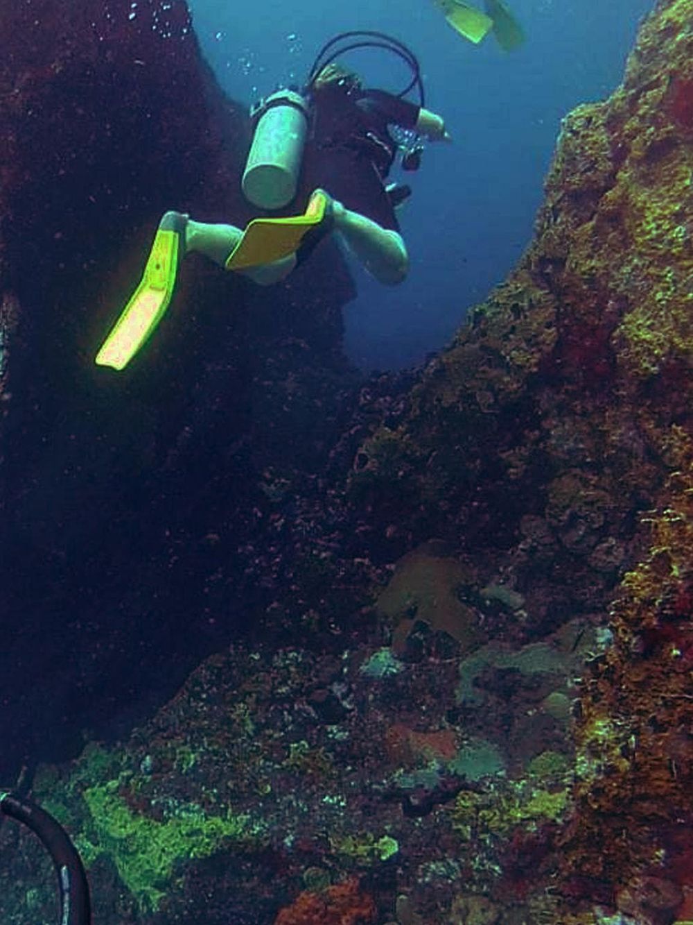 Scuba diver exploring an underwater cave with vibrant coral reef, clear blue water, and marine life.