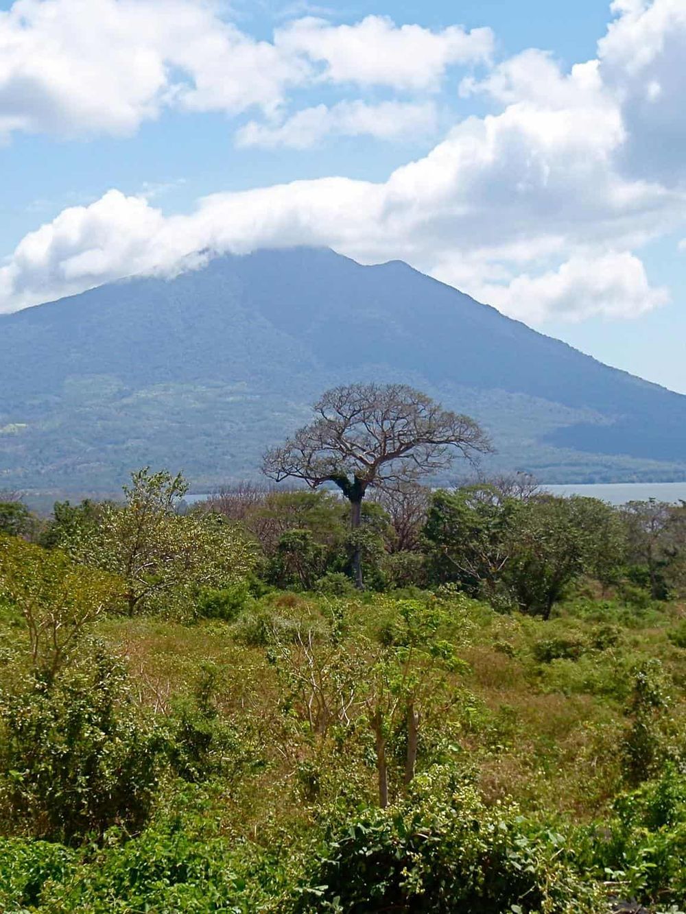 Lush green landscape with a distant mountain, vibrant sky, and scenic natural beauty.