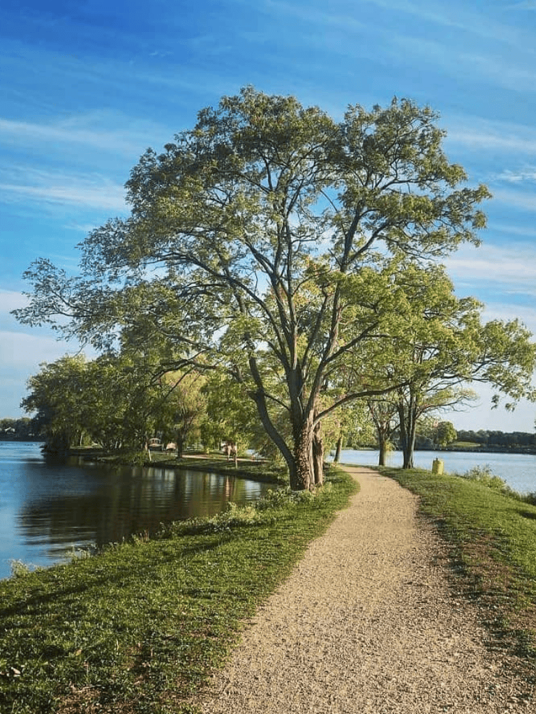 Tranquil lakeside walking trail with lush trees and scenic water views.
