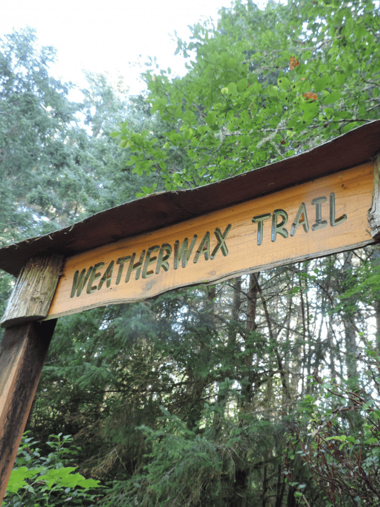 Weatherwax Trail wooden sign in lush forest setting, nature hiking trail in greens.