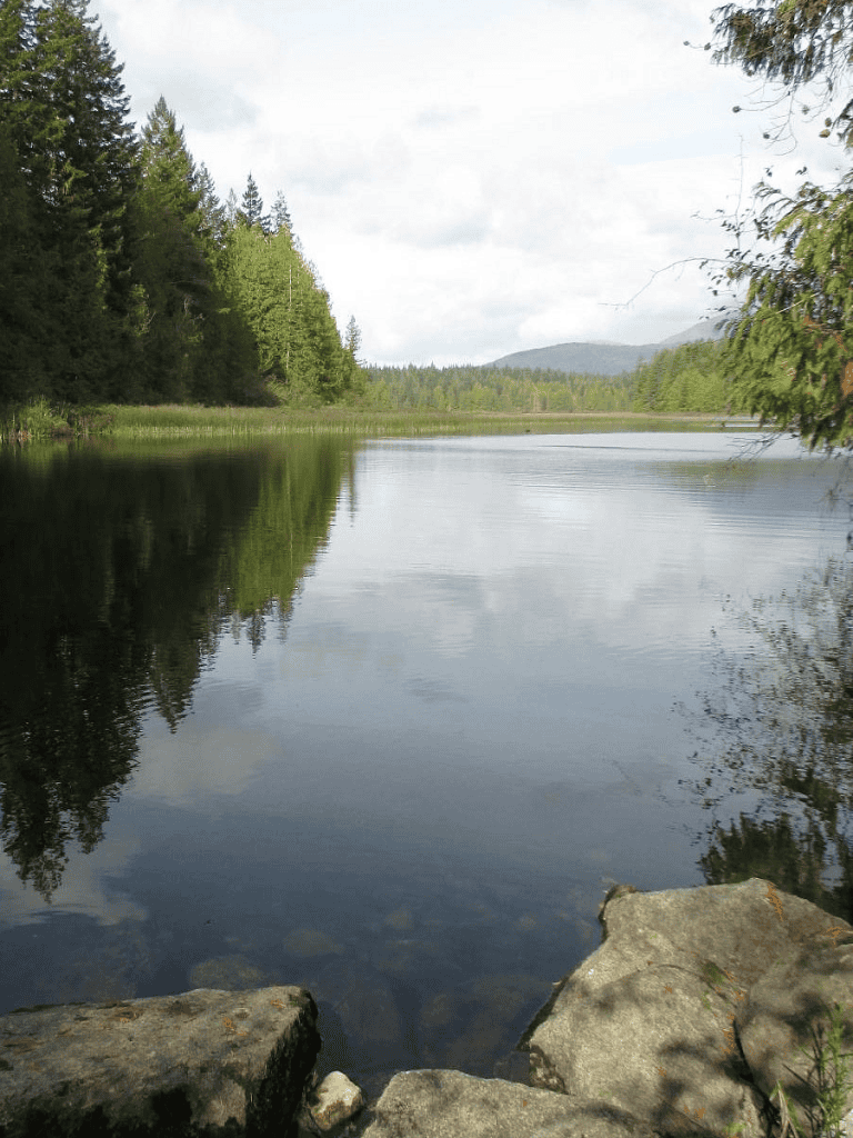 Tranquil river view surrounded by lush green forests and mountains, ideal for outdoor adventures and nature exploration.