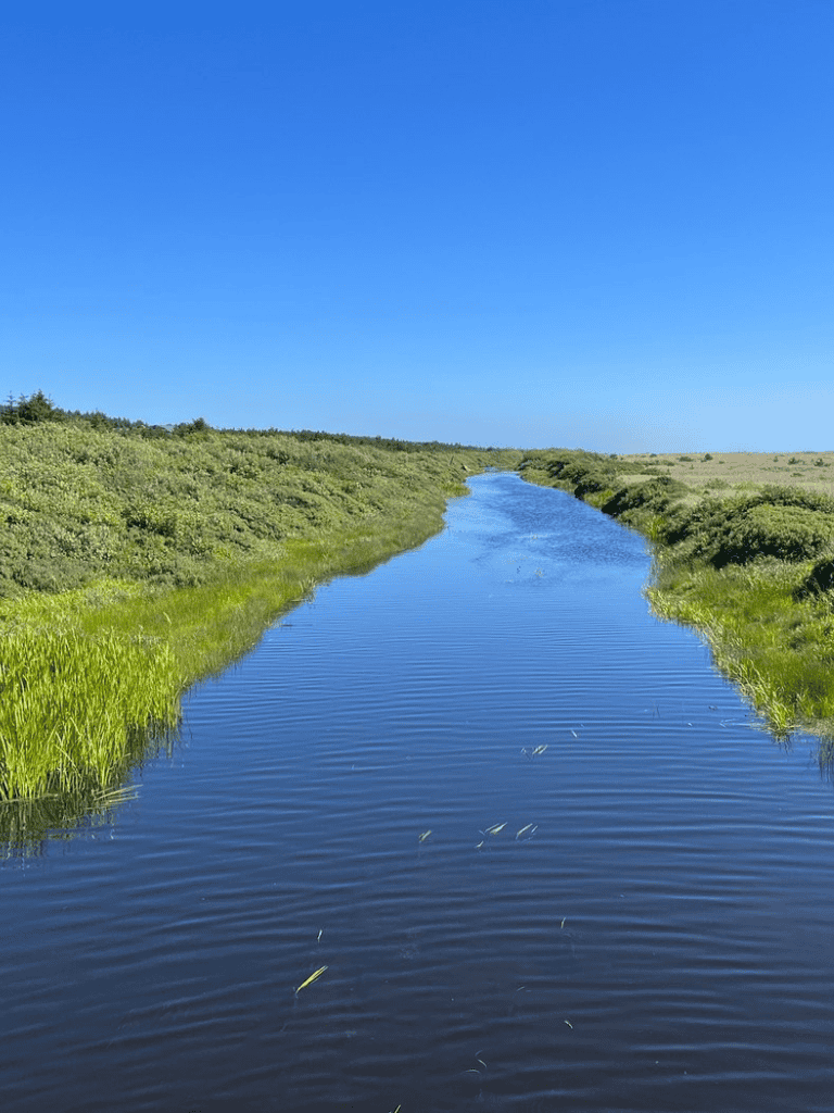 A serene river flowing through lush green landscape under clear blue sky.