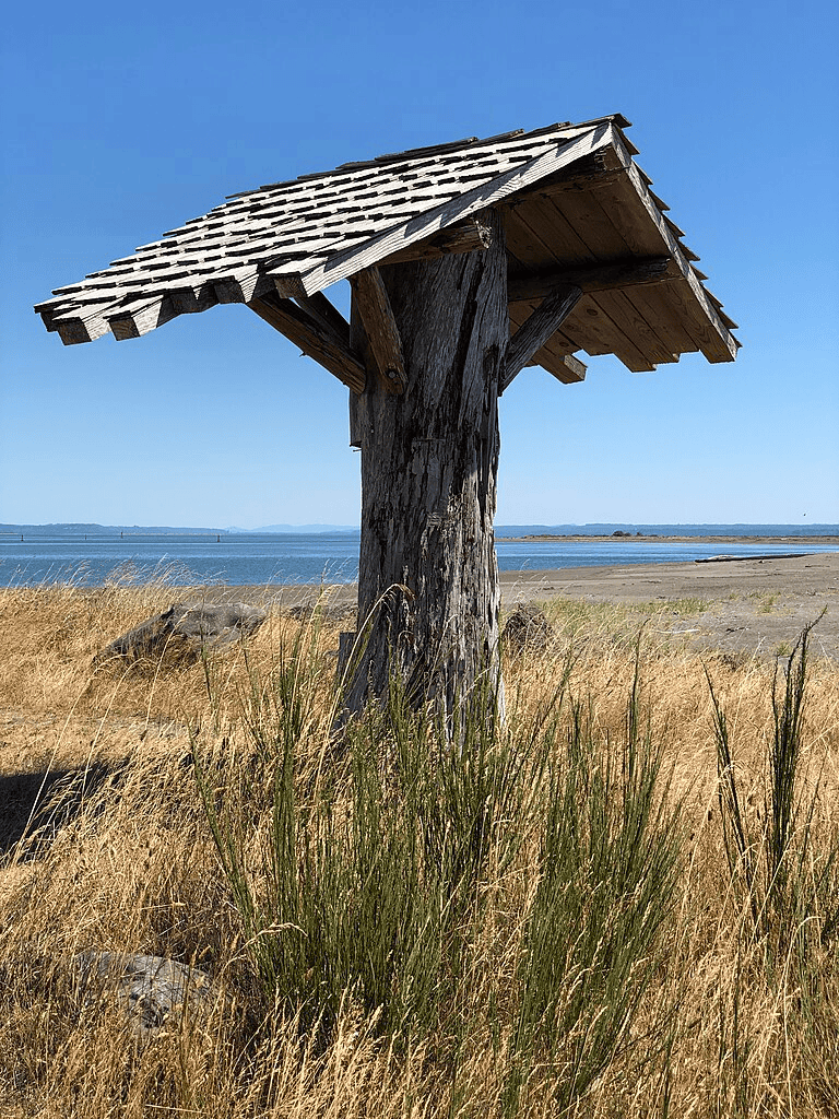 Wooden birdhouse on a weathered tree trunk at the beach with grass and ocean view.
