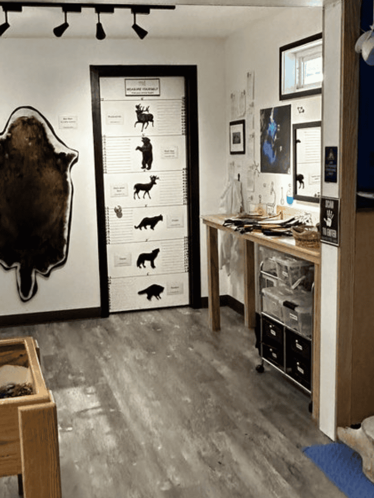 Bear silhouette educational display in nature exploration room, wildlife learning space, outdoor adventure theme, habitat facts, and conservation.