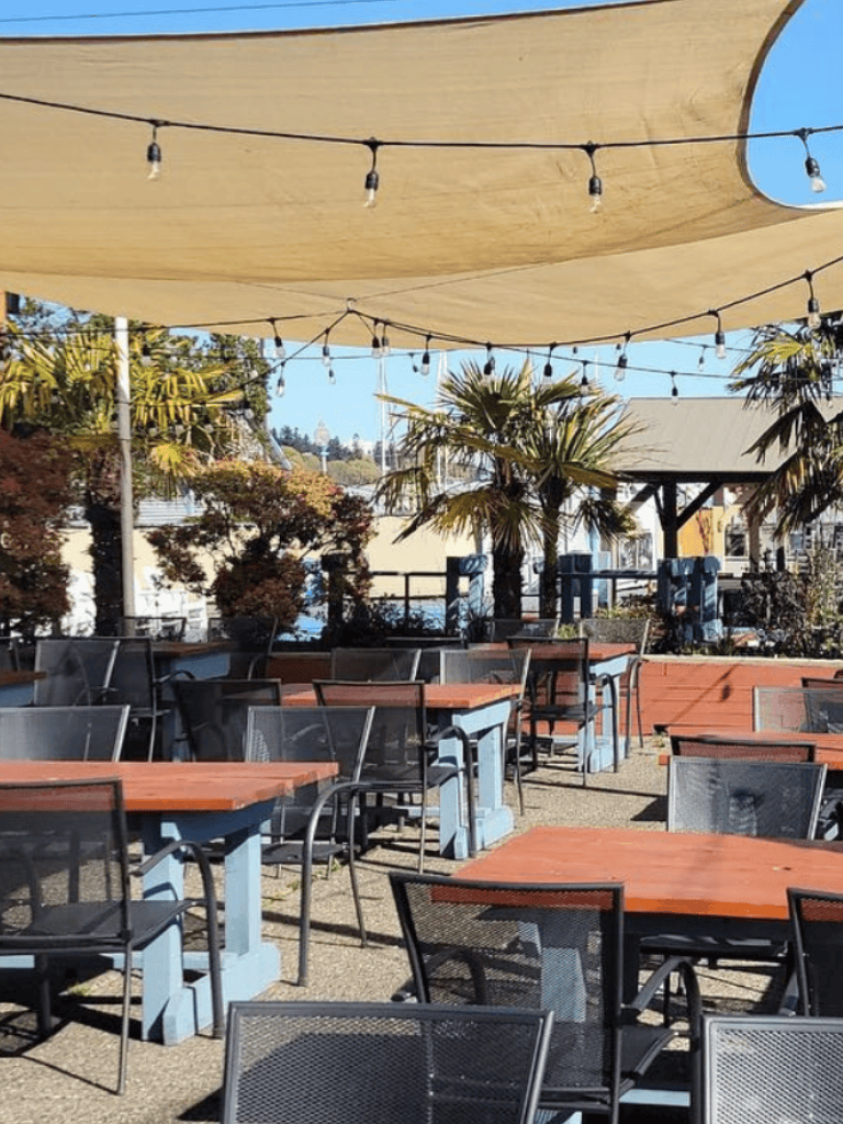 Outdoor dining area with tables, chairs, and palm trees on a sunny day.