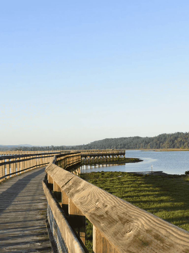 Scenic boardwalk over water with lush green surroundings and mountain views, perfect for outdoor exploration.