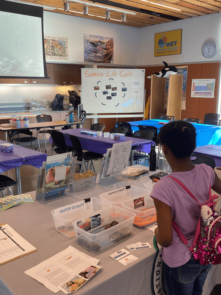 Salmon Life Cycle educational display in classroom at QuestForDirections center.