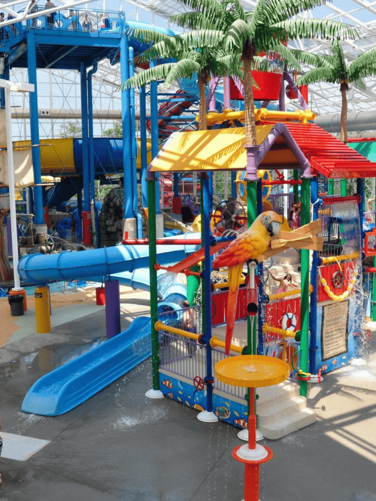 Colorful indoor water park featuring slides, water play areas, and tropical-themed decorations for family fun.