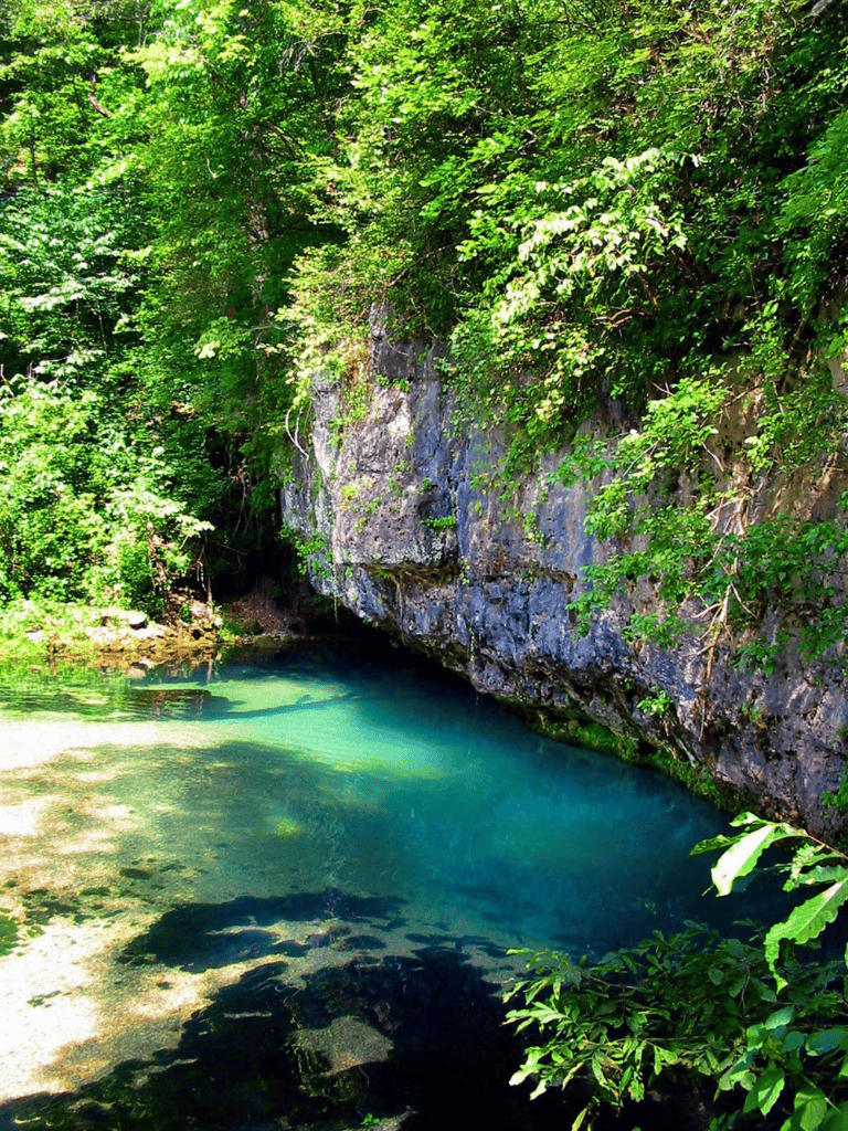 Vibrant green forest with clear blue river surrounded by lush foliage and rocky cliffs.