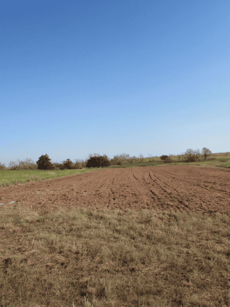 Vast open field with clear blue sky, perfect for outdoor exploration and navigation.