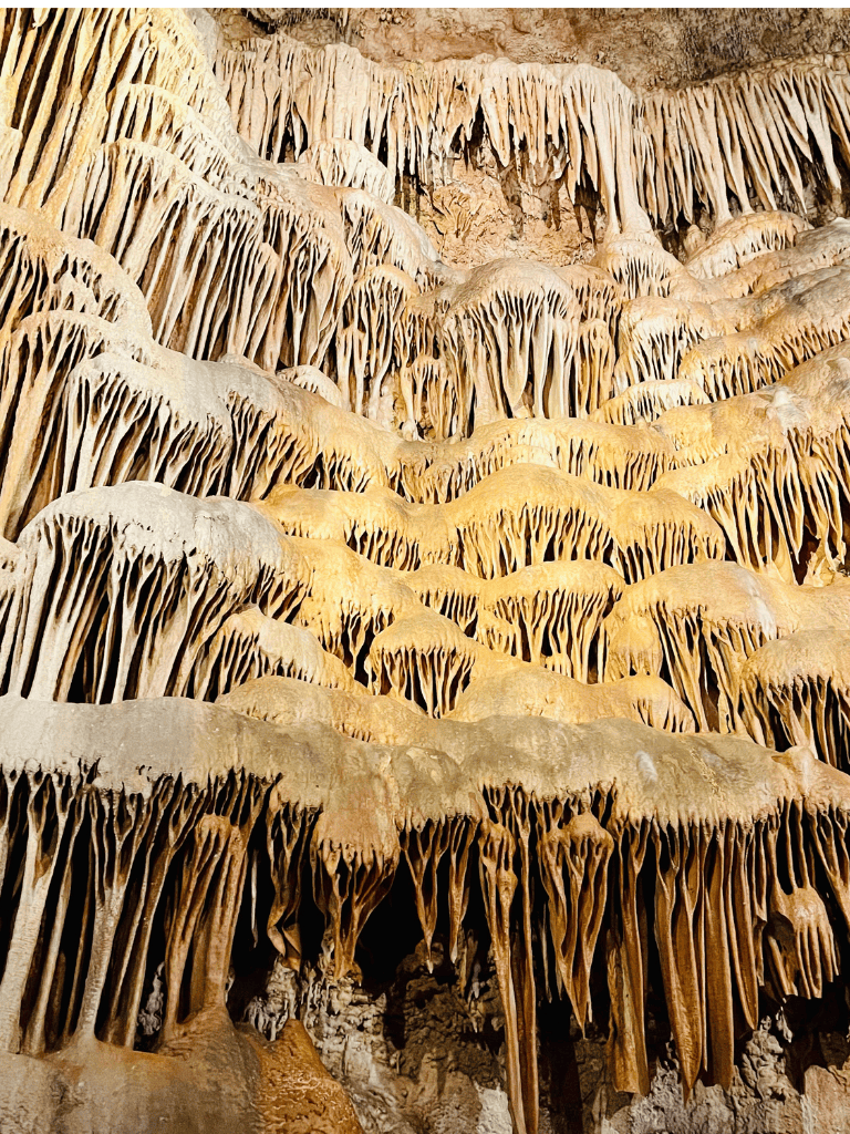 Vase formation inside a limestone cave with stalactites and stalagmites.