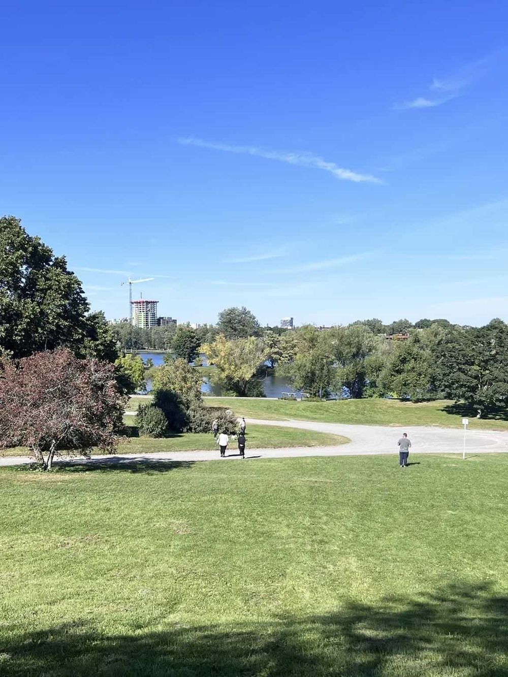 Scenic park with green grass, trees, and a river under a clear blue sky, featuring people enjoying outdoor activities.