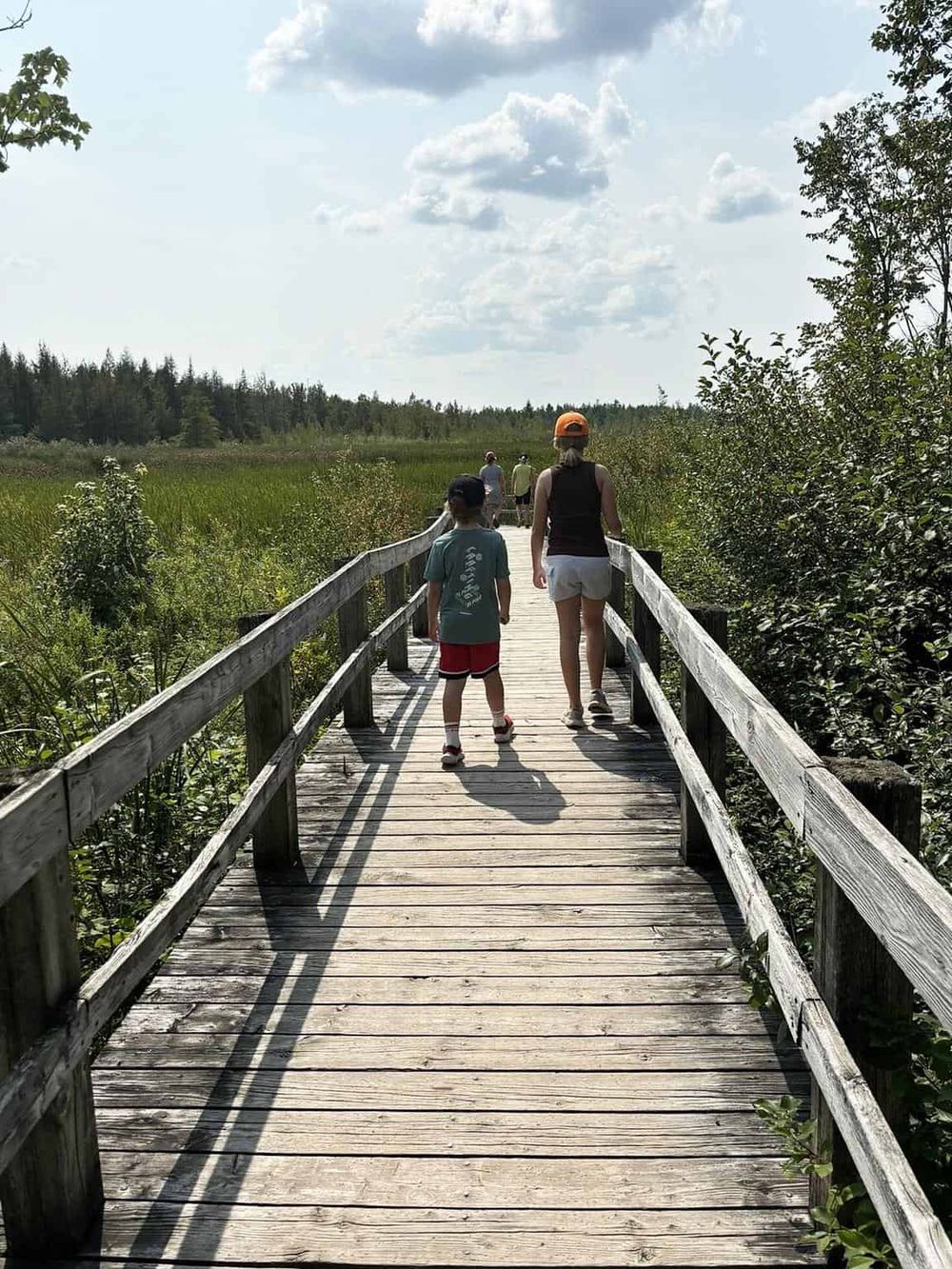 Early morning nature walk on a wooden trail in a wetland area with family, scenic outdoor exploration, and wildlife adventure.