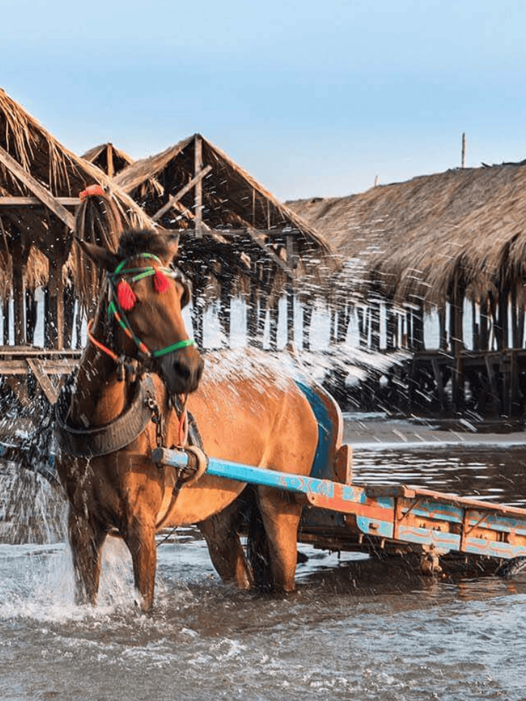 A majestic horse pulling a boat along water in a coastal village with traditional thatched-roof huts.