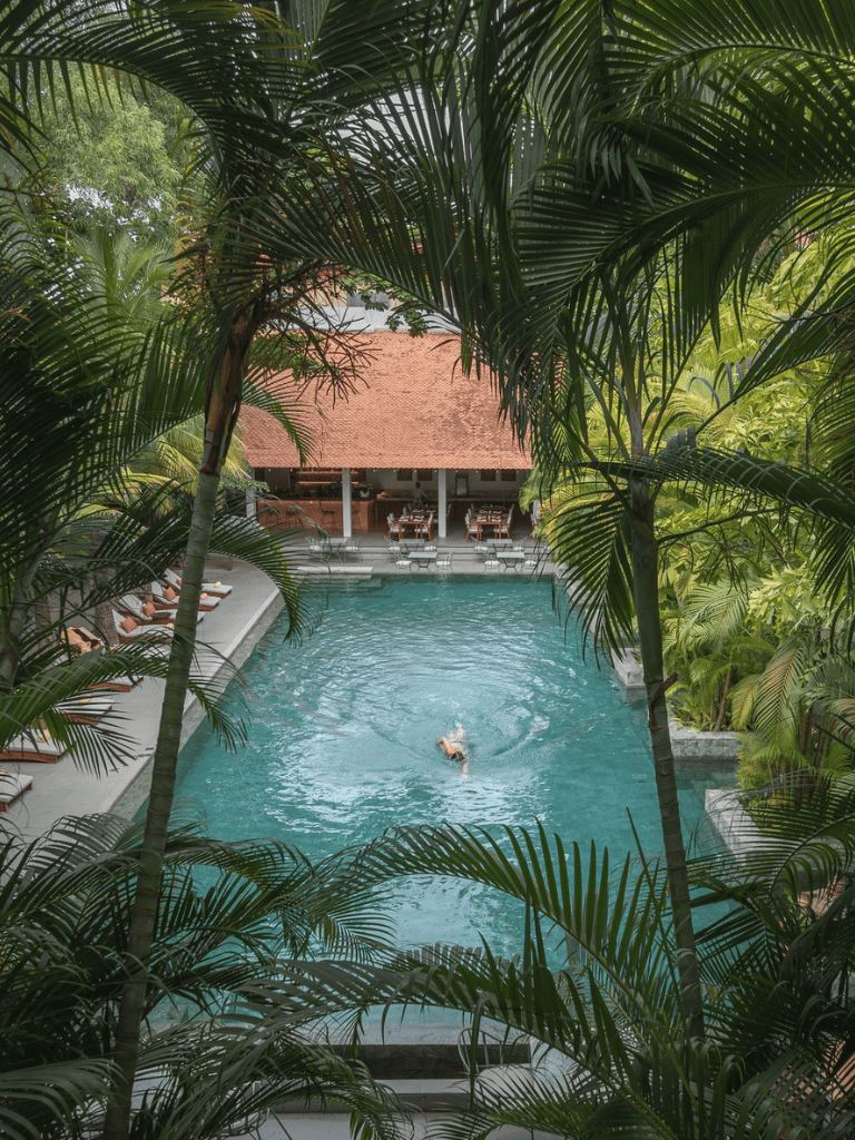 Swimming pool surrounded by lush tropical plants at QuestForDirections resort.
