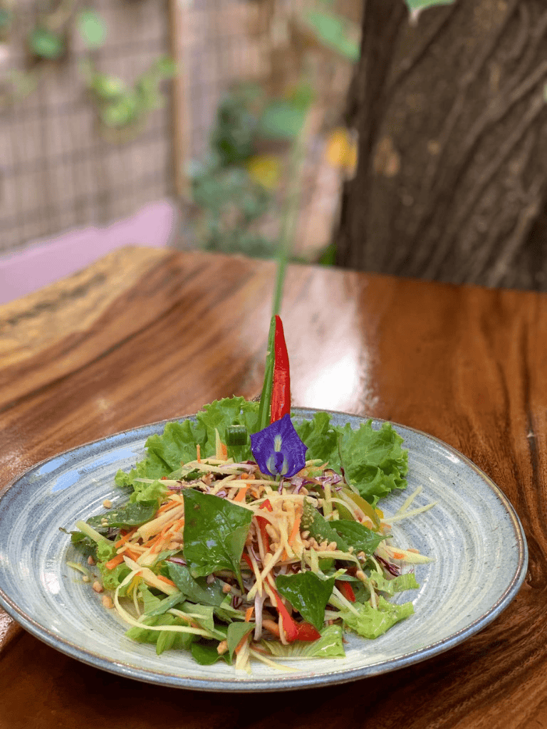 Fresh vegetable salad garnished with edible flower on ceramic plate at outdoor restaurant.