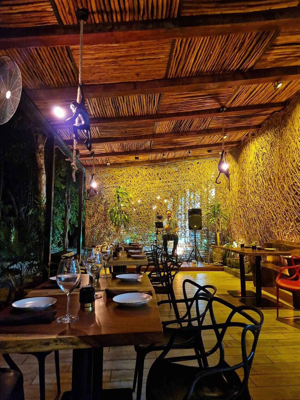 Vibrant restaurant interior with lush greenery, wooden accents, and live music performance at QuestForDirections.