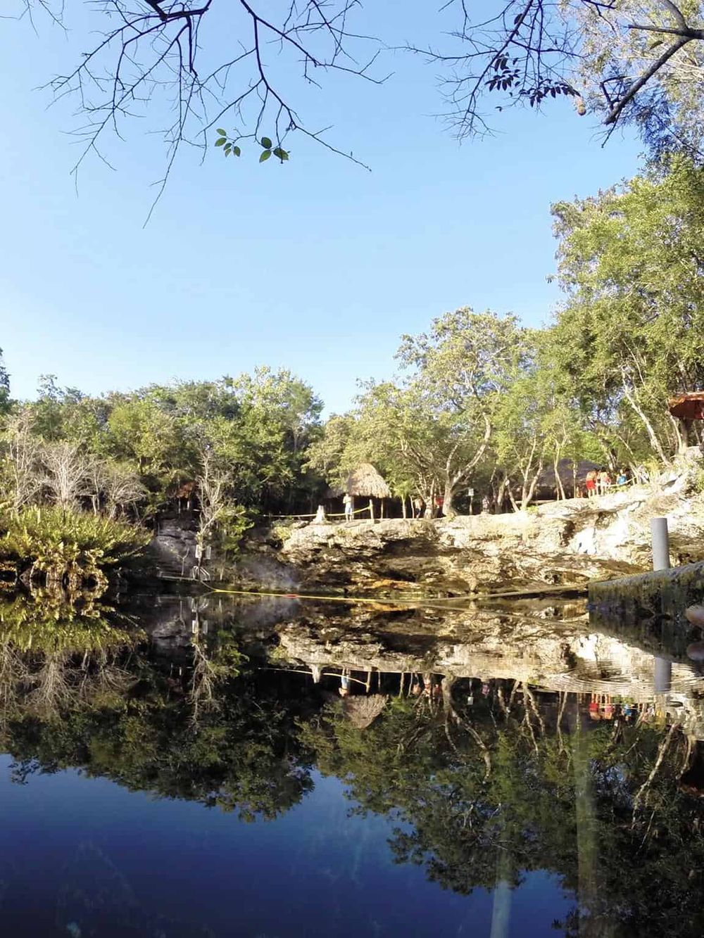 Serene natural landscape featuring tranquil water, lush greenery, and blue sky at a scenic outdoor location.