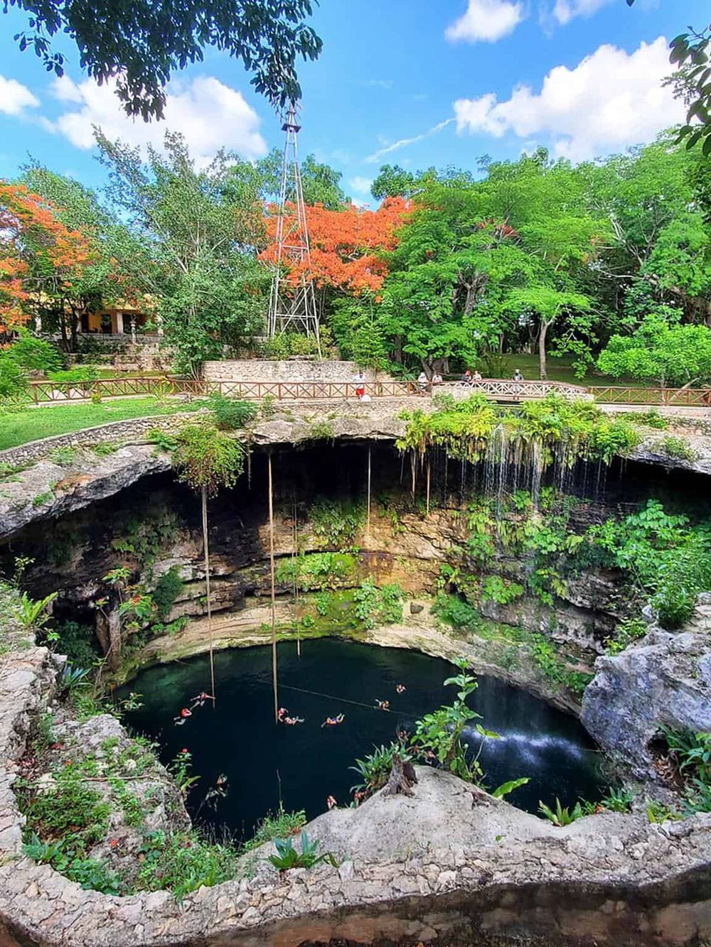 Colorful park with water features and lush greenery, ideal for outdoor activities and scenic relaxation.