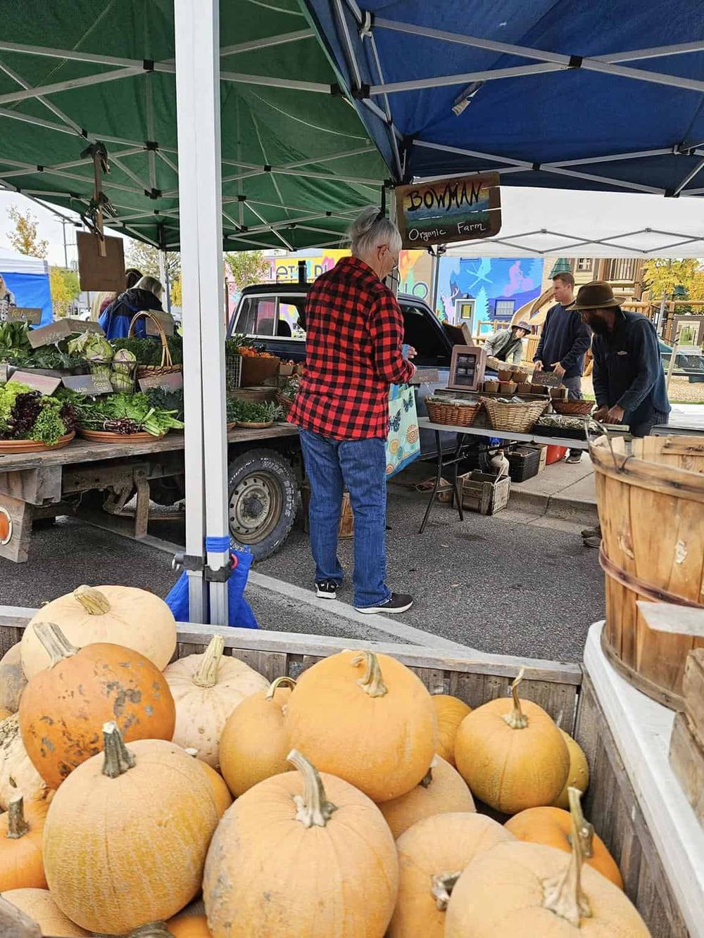 Fresh pumpkins at a local farmers market step.