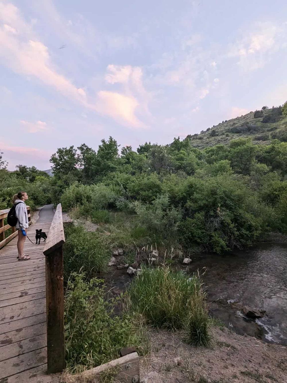 Serene hiking trail with a wooden bridge, lush greenery, and mountain views, ideal for outdoor adventure and nature exploration.