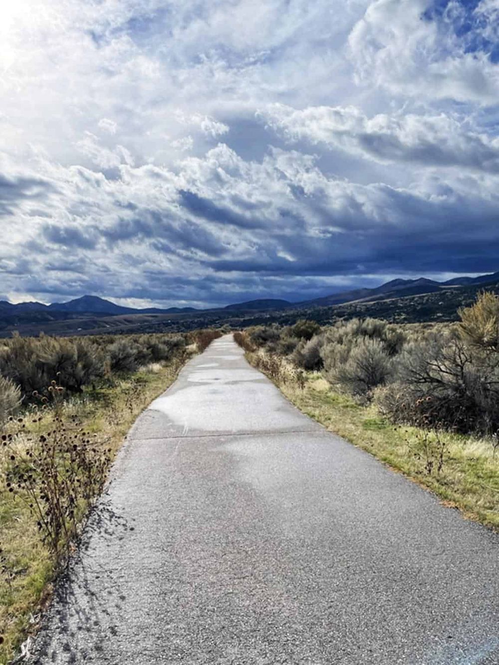 Serene desert landscape with paved trail, mountains, and moody cloudy sky for outdoor adventure seekers.
